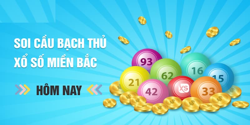 Bạch thủ lô miền Bắc