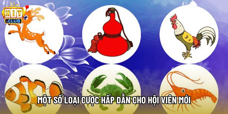 Một số loại cược hấp dẫn cho hội viên mới Một số loại cược hấp dẫn cho hội viên mới