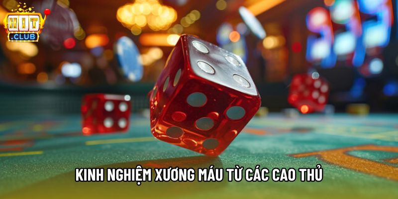 Kinh nghiệm xương máu từ các cao thủ