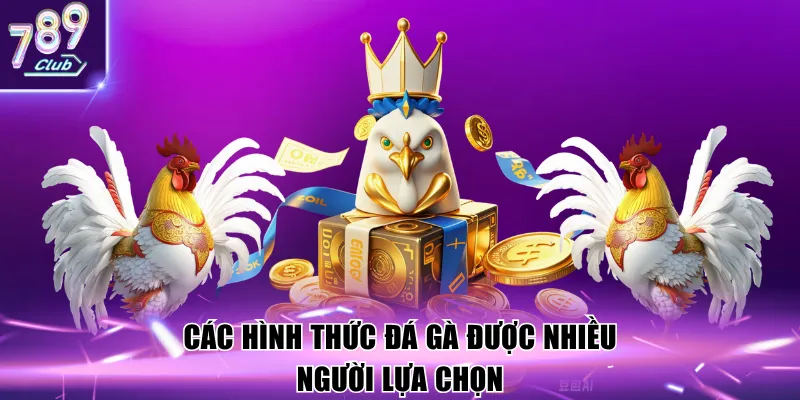 Các hình thức đá gà được nhiều người lựa chọn