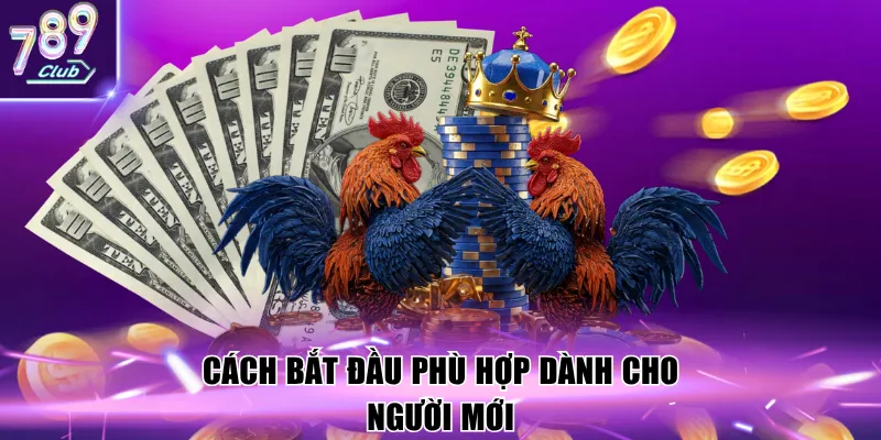 Cách bắt đầu phù hợp dành cho người mới