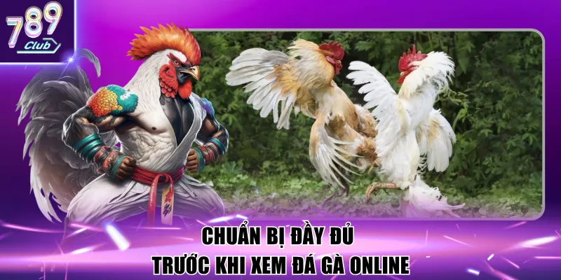 Chuẩn bị đầy đủ trước khi xem đá gà online