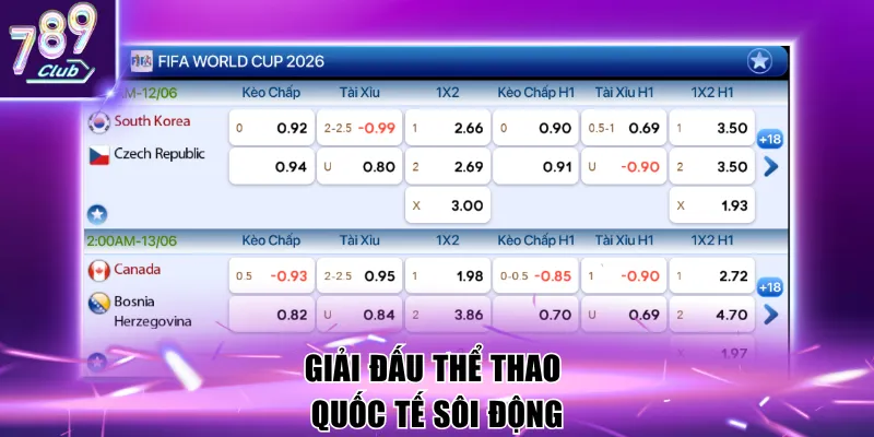 Giải đấu thể thao quốc tế sôi động