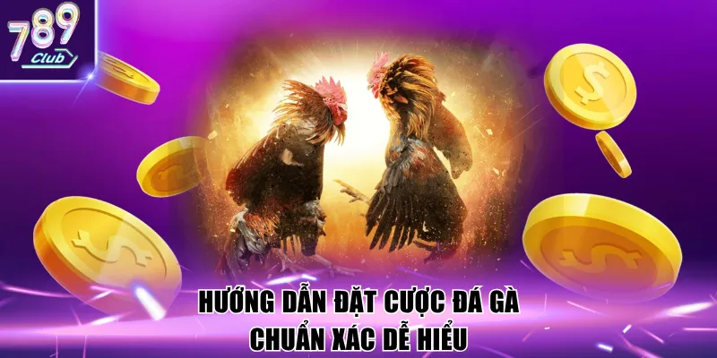 Hướng dẫn đặt cược đá gà chuẩn xác dễ hiểu