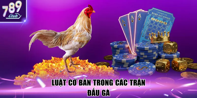 Luật cơ bản trong các trận đấu gà