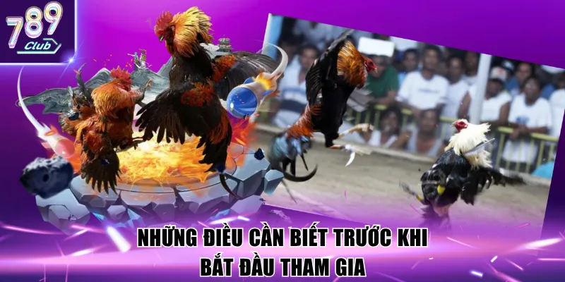 Những điều cần biết trước khi bắt đầu tham gia