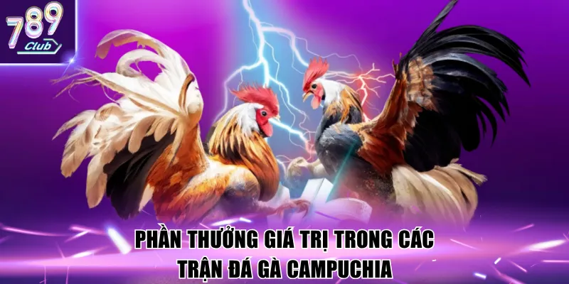 Phần thưởng giá trị trong các trận đá gà campuchia