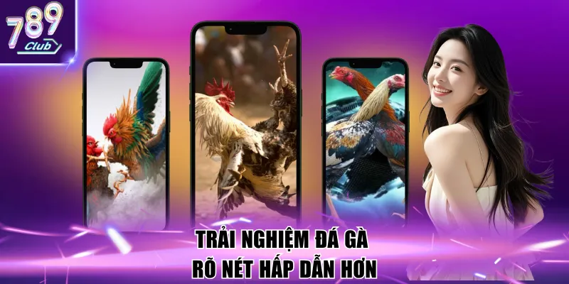 Trải nghiệm đá gà rõ nét hấp dẫn hơn