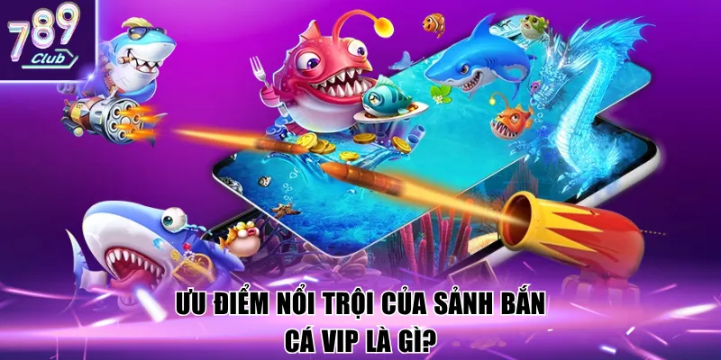 Ưu điểm nổi trội của sảnh bắn cá VIP là gì?